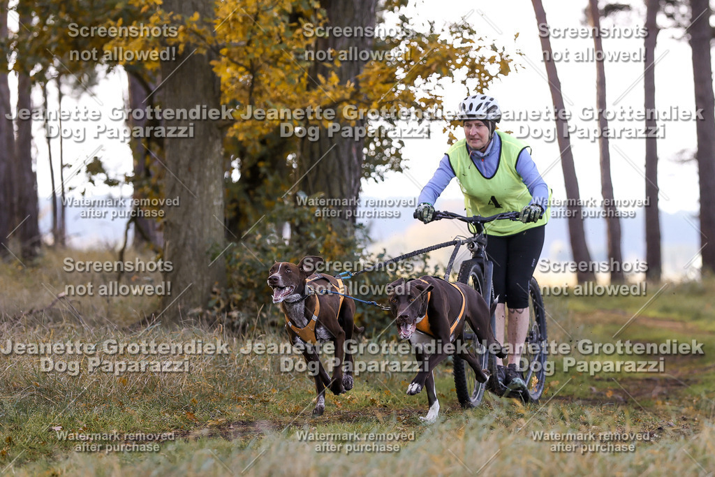 Dog Paparazzi - Elsholz 25 -47 | Dog Paparazzi Jeanette Grottendiek Fotografie & Videografie - Realisiert mit Pictrs.com