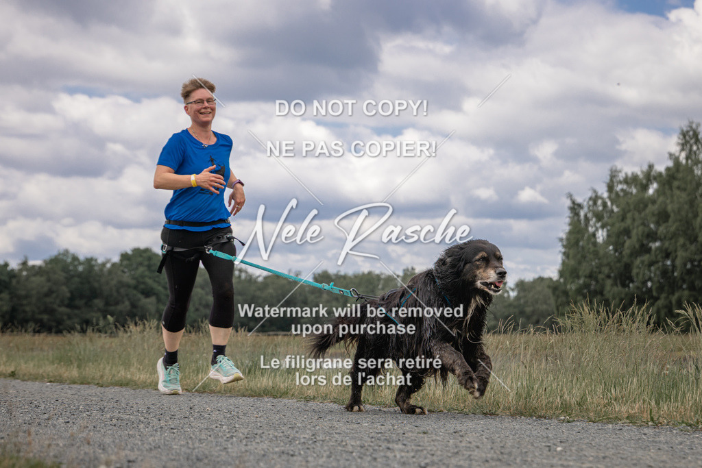 nelerasche_BuHu2026_SaCC1100-1200_244 | nelerasche