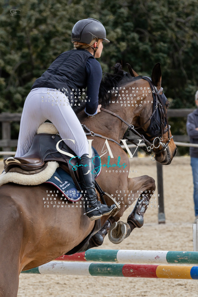 IMG_3938 | s-jay-photography - Realisiert mit Pictrs.com