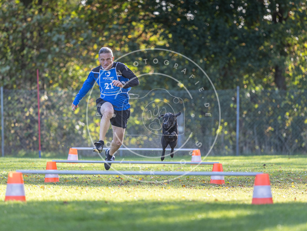 Pfotenfotografie.de_DV3A3009 | Hundefotografie, Tierfotograf, Pfotenfotografie, Fotoshooting Hund, Hunde Portrait, Hundesport, Hundeportraits, Heideshooting, Hunde, Sportfotograf, Hundefotograf, Turnierhundsport, THS, canicross - Realisiert mit Pictrs.com