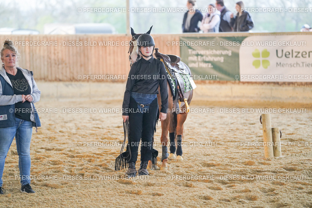 DSC08989 | Pferdegrafie