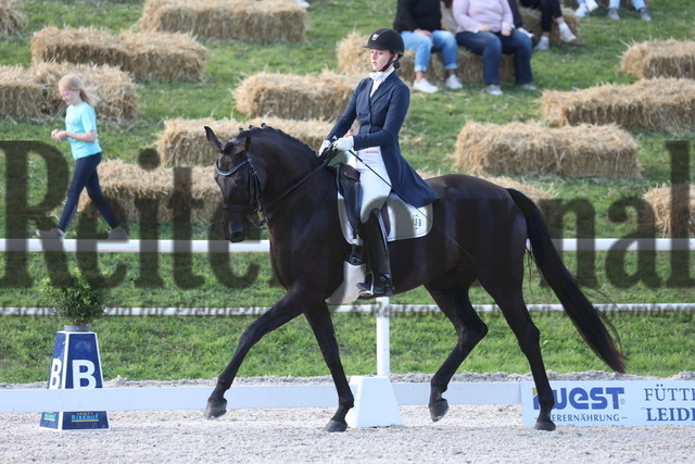 Birkhof_2023_Dressurfestival_Prfg.Nr.07_Amateure_Charlotte Glitz_Penny Lane 387 (10) | Alle Fotos der Reiterjournal Fotografin Doris Matthaes im Reiterjournal Online-Fotoshop. - Realisiert mit Pictrs.com