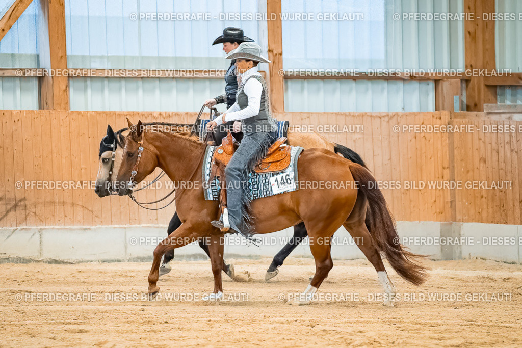 DSC09978 | Pferdegrafie