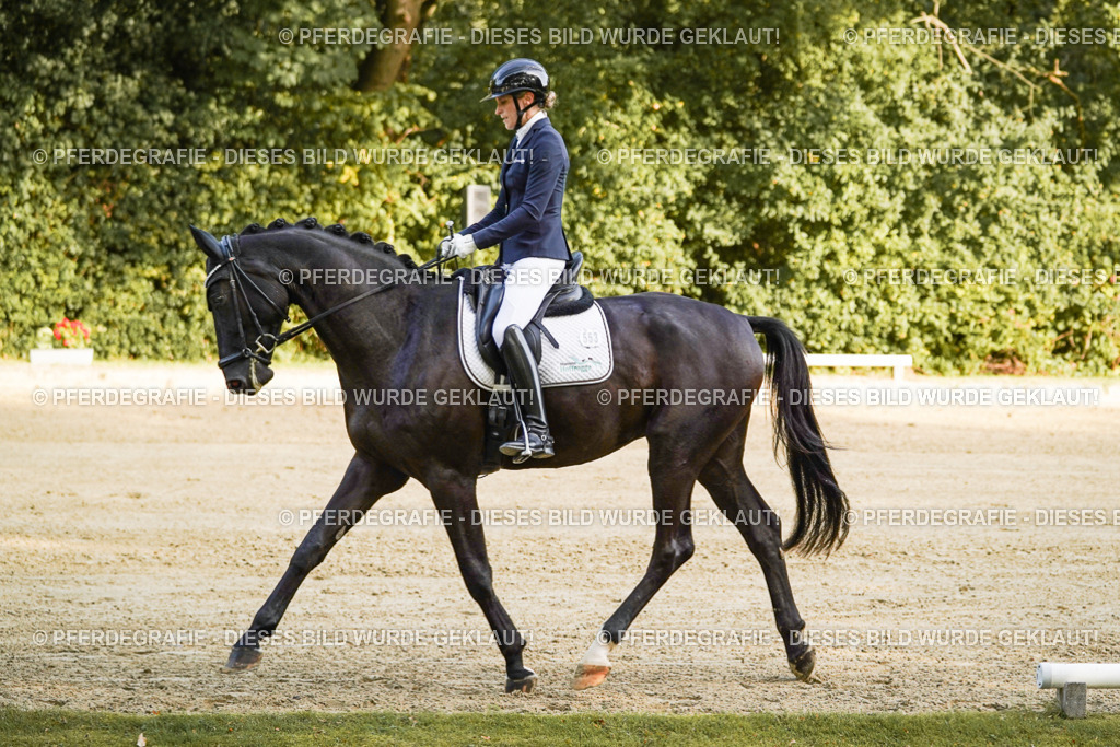 DSC04632 | Pferdegrafie