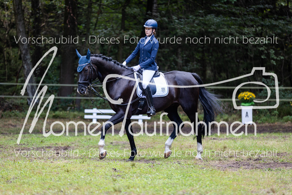 HB-Dressur-WB-084 | MomenTaufnahmen Pferdesportfotos