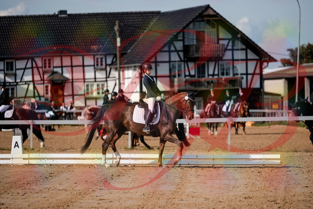 2026_10_03_Siefer-Hof_114741_Z63_26884944 | Professionelle Reitsport-, Turnier- und Eventfotografie von Robert Broda. Galerien mit ausgewählten und bearbeiteten Bildern direkt online ansehen und bestellen.