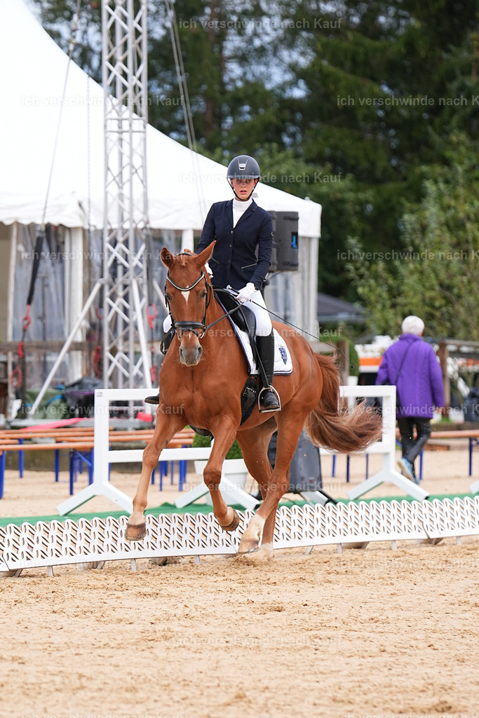 02-095-DRESSUR L_  -Marixx-4823 | working equitationturnier fotograf videograf stoibphotography marixx film working equitation deutschland reitsport turnierfotografie eventfotografie equestrian events