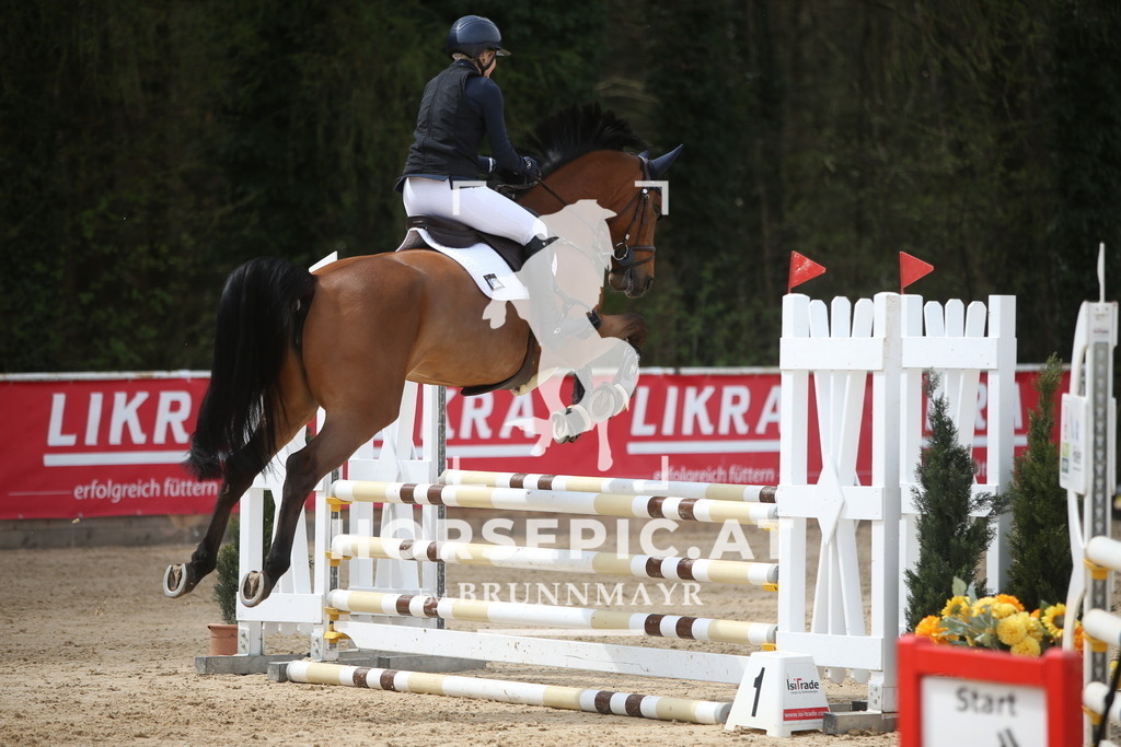 PP017291 | Willkommen bei Brunnmayr - Design & Fotografie – Ihrem Spezialisten für Reitturniere und Pferdeveranstaltungen in Oberösterreich, Salzburg und Bayern! Seit über 17 Jahren sind wir leidenschaftlich dabei.