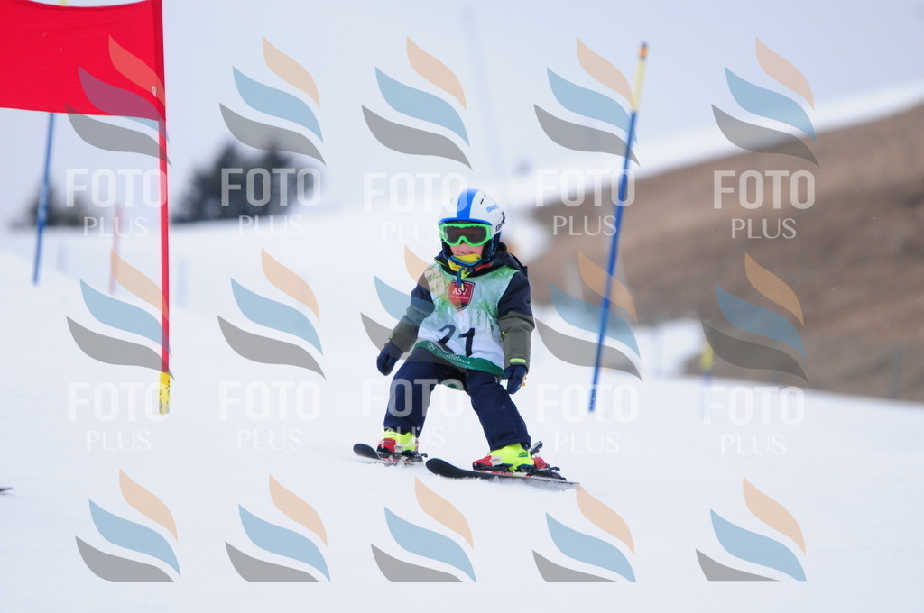 A3407 | holidayphoto