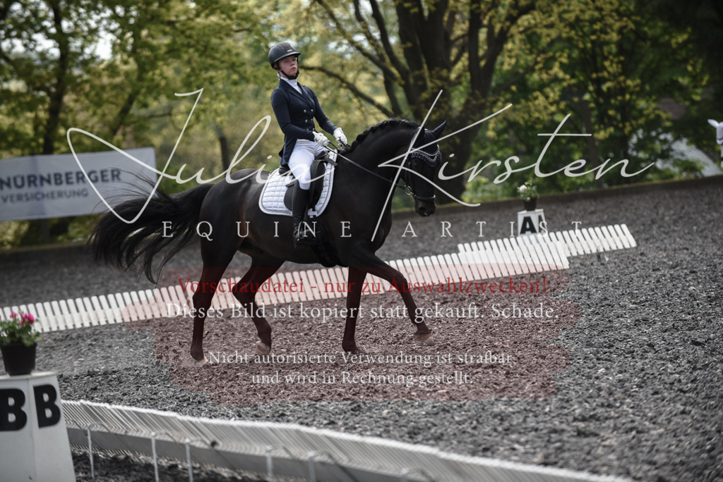 20230513_JK-Röhrsdorf-14-694 | Pferde- und Turnierfotografie in Westsachsen. Pferdeportraits, Auftragszeichnungen und intuitive Kunst.