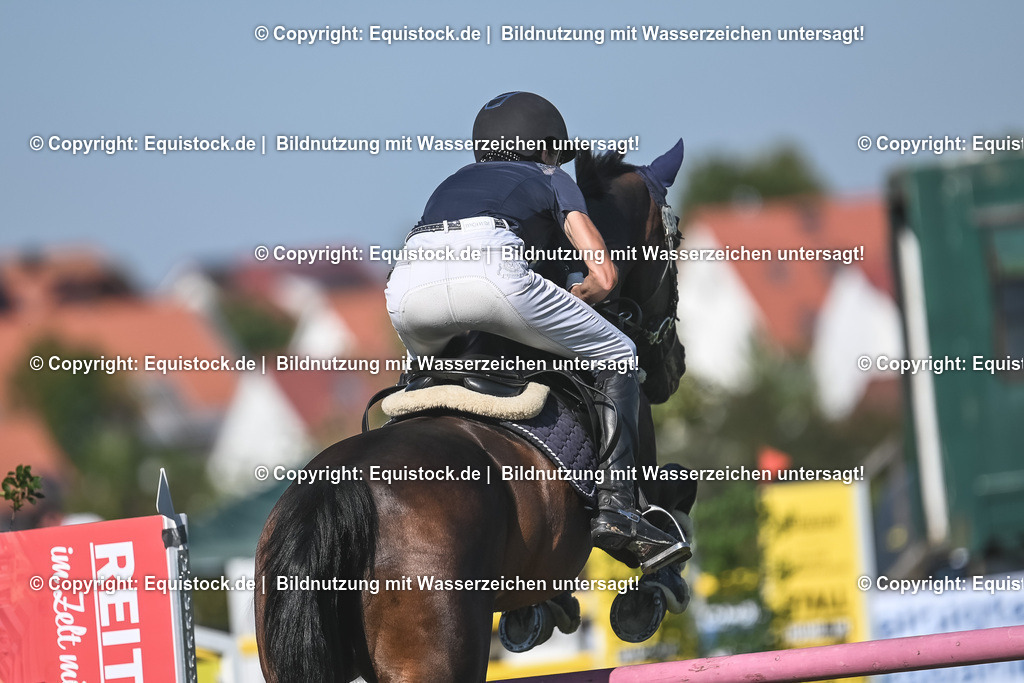 20230908_24_Springen_M_0039 | equistock
