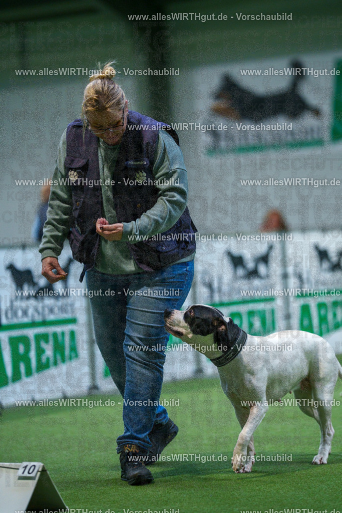 7R503013 | Professionelle Tierfotografie in Mönchengladbach von Daniel Wirth (allesWIRTHgut). Liebevolle & natürliche Bilder von Hunden & Katzen für unvergessliche Erinnerungen.