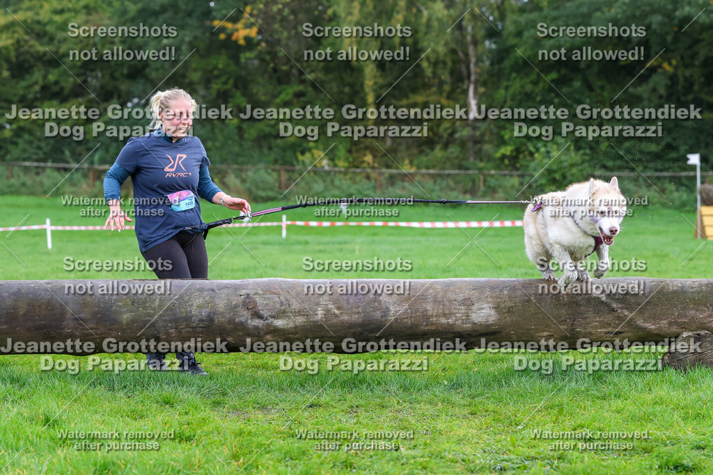 Dog Paparazzi -  SD1026-1869 | Dog Paparazzi Jeanette Grottendiek Fotografie & Videografie - Realisiert mit Pictrs.com
