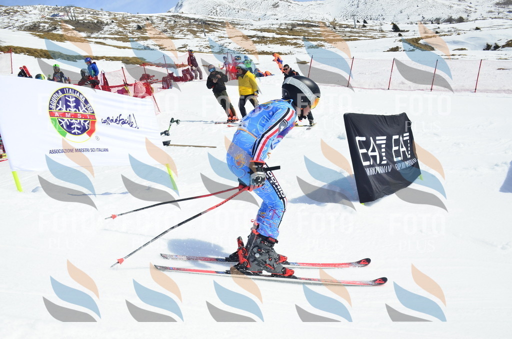 _ELE1294 | holidayphoto