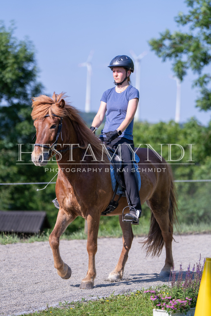 KAI06997 | Ihr sucht einen Fotografen für eure nächste OSI? Ich begleite auch euer Turnier für Islandpferde fotografisch.  - Realisiert mit Pictrs.com