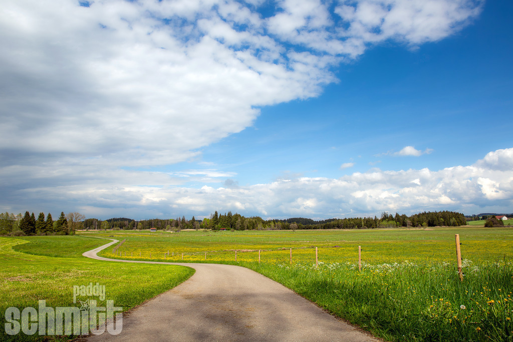 PS-Wege-2026-19 | Entdecke die größte Bildgalerie der Region mit Fotografien aus dem Allgäu, der Bodenseeregion, Oberschwaben, dem Donautal und der Schwäbischen Alb. Landschaften, Luftaufnahmen und Reisefotografie als Wandbild und Fotokunst. - Realisiert mit Pictrs.com