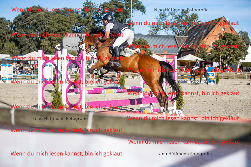 BK1A7774 | Turnierbilder Turnierfotos Nina Hüffmann Turnierfotografie Pferdefotografie Tierzeichnung Haustierzeichnung Pferdezeichnung Hundezeichnung Videograf  - Realisiert mit Pictrs.com