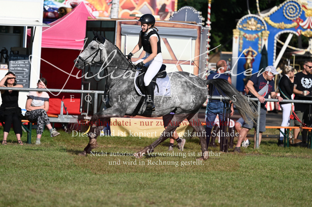 DSC_4877 | Pferde- und Turnierfotografie in Westsachsen. Pferdeportraits, Auftragszeichnungen und intuitive Kunst.