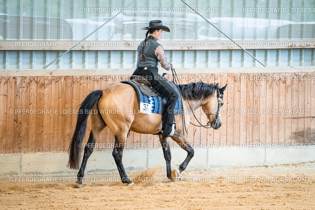 DSC00057 | Pferdegrafie