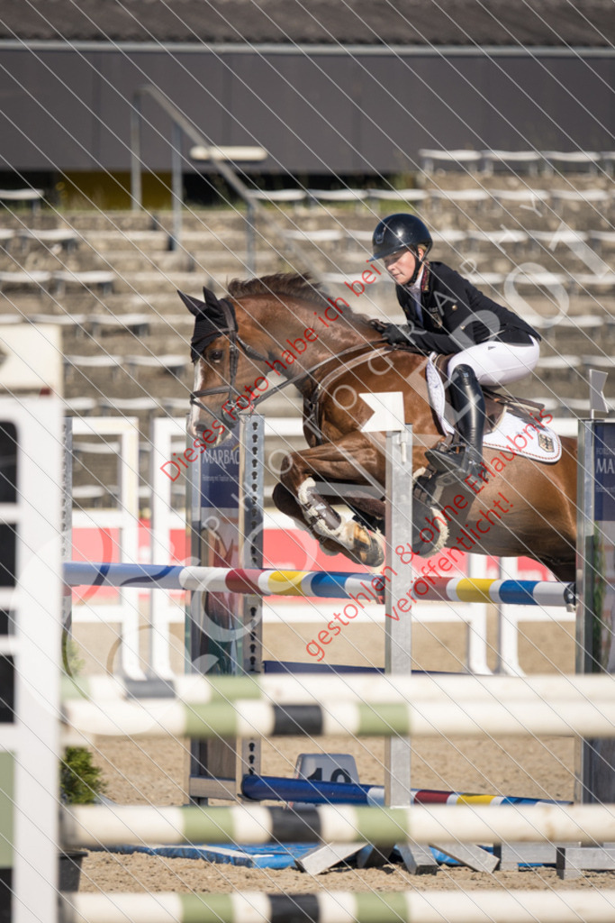 IMG_3455 | Sport-, Event- und Tierfotos in Profiqualität. Einfach auswählen, bestellen und herunterladen. Dein Moment – perfekt festgehalten.