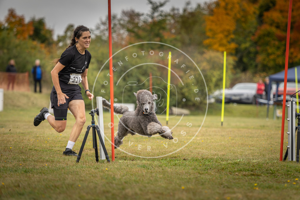 Pfotenfotografie_DV3A3760 | Hundefotografie, Tierfotograf, Pfotenfotografie, Fotoshooting Hund, Hunde Portrait, Hundesport, Hundeportraits, Heideshooting, Hunde, Sportfotograf, Hundefotograf, Turnierhundsport, THS,  - Realisiert mit Pictrs.com
