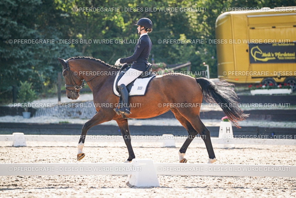 DSC08845 | Pferdegrafie