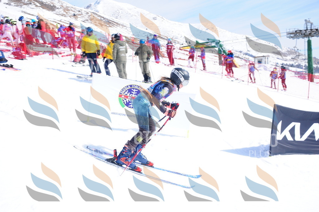 DSC_5301 | holidayphoto