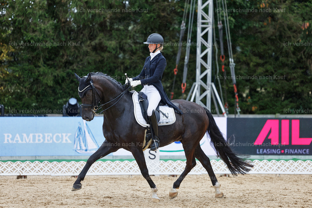 8_1-212-Klasse S_  -StoibPH-3930 | working equitationturnier fotograf videograf stoibphotography marixx film working equitation deutschland reitsport turnierfotografie eventfotografie equestrian events