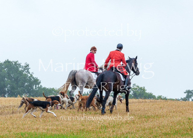 Jagd Kletkamp 26-02818_MarinaHewig | Fotografie, FotoArt, PferdesportArt, Pferdesportfotografie, Landschaftsfotografie, Reisefotografie, Reise, Pferde - Realisiert mit Pictrs.com