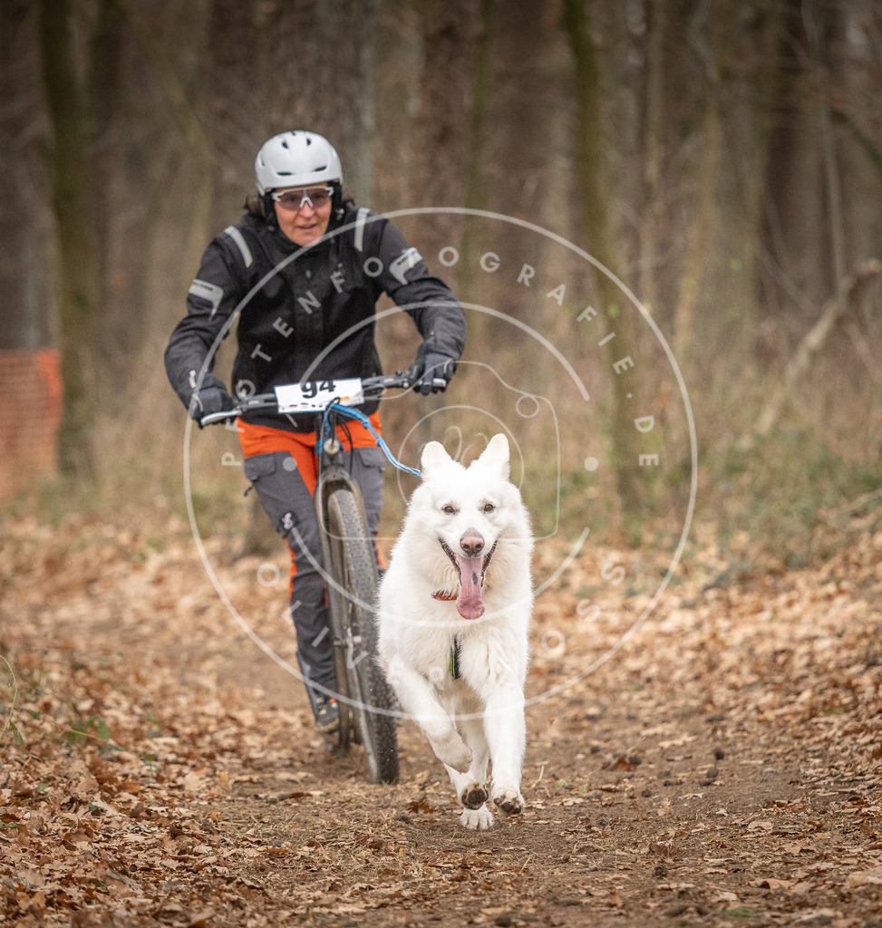 Pfotenfotografie_DV3A7224 | Hundefotografie, Tierfotograf, Pfotenfotografie, Fotoshooting Hund, Hunde Portrait, Hundesport, Hundeportraits, Heideshooting, Hunde, Sportfotograf, Hundefotograf, Turnierhundsport, THS,  - Realisiert mit Pictrs.com
