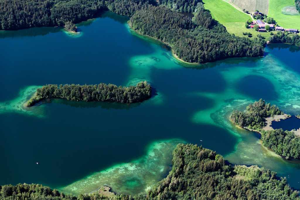 dr__0092778.jpg | STOCK 14.06.2022 Uferbereiche am Seegebiet des " Langenbürgner See " in Stock im Bundesland Bayern, Deutschland.