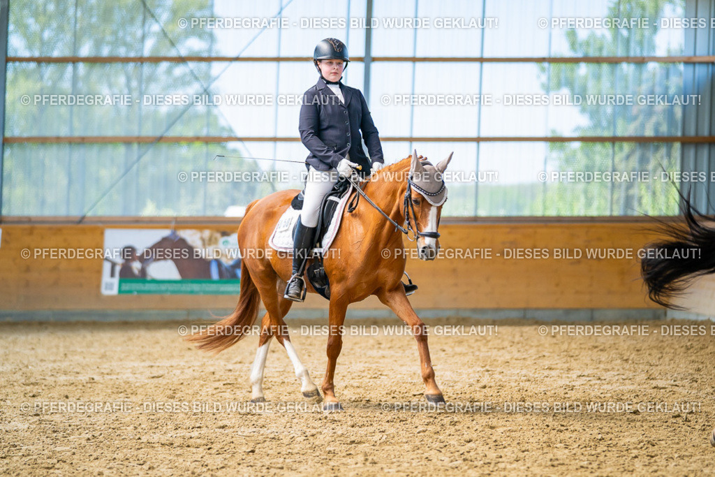 DSC08715 | Pferdegrafie