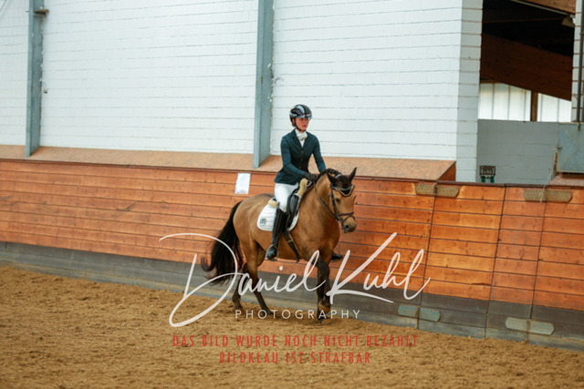 _62_6264 | Turniersportfotografie; Pferdefotografie; Dressurfotografie