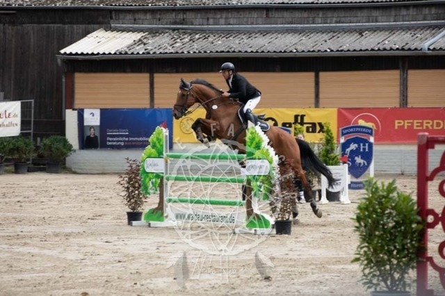 2B4A2512 | pixelfaenger - Realisiert mit Pictrs.com