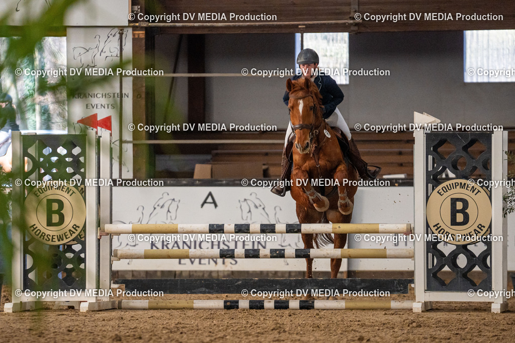 Kranichstein Tag 1-139 | dv-media-shop - Realisiert mit Pictrs.com