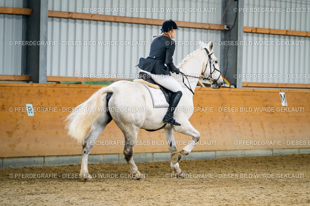 DSC00731 | Pferdegrafie