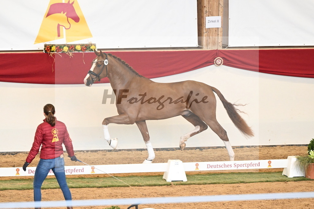 Kat.-Nr. 68 v. Juwel_Westhoff _ Rothenberger_3260815 | hf-fotografie - Realizzato con Pictrs.com