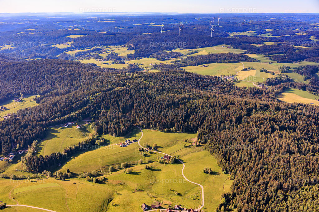 Luftbild: Mooswald von Norden im Ortsteil Diesenhof in Lauterbach im Bundesland Baden-Württemberg in Deutschland.Foto: IMG_156275.jpg vom 17.05.2026 durch Werner Riehm/FLY-FOTO.deAuflösung des Originals: 6000 x 4000 px