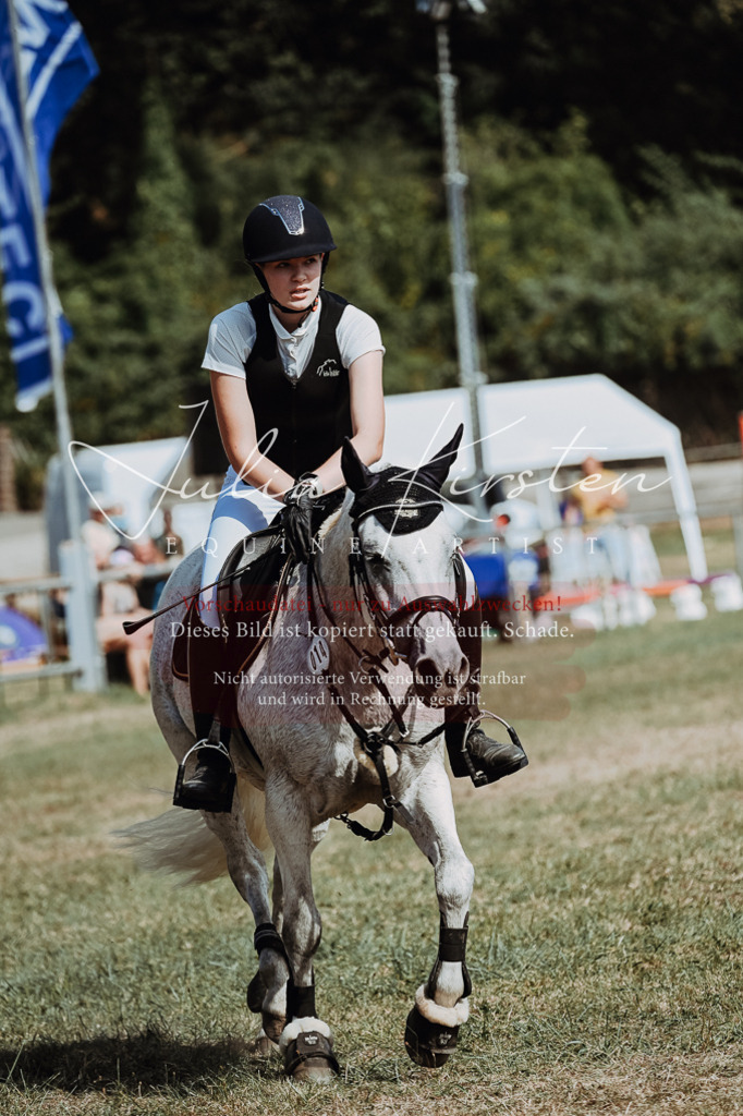 DSC_9452 | Pferde- und Turnierfotografie in Westsachsen. Pferdeportraits, Auftragszeichnungen und intuitive Kunst.