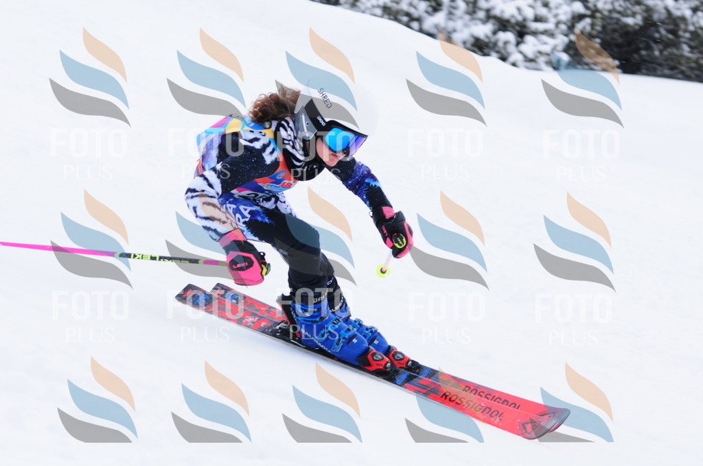 C2689 | holidayphoto