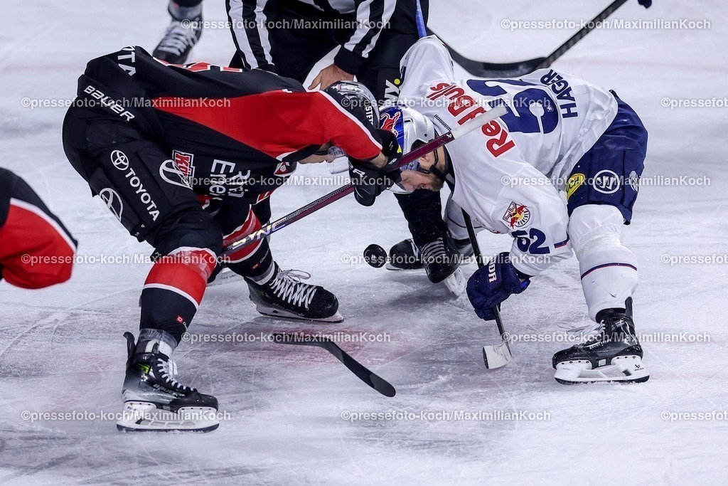 KEC28012501041 | 28.01.2025, Eishockey, DEL, Kölner Haie - EHC Red Bull München, Spieltag 41, Lanxess-Arena Köln: Beim Zweikampf um den Bully (Louis-Marc Aubry (Kölner Haie #15) gegen Patrick Hager (EHC München #52)) bricht der Schläger von (Louis-Marc Aubry (Kölner Haie #15)  in Zwei Hälften auseinander