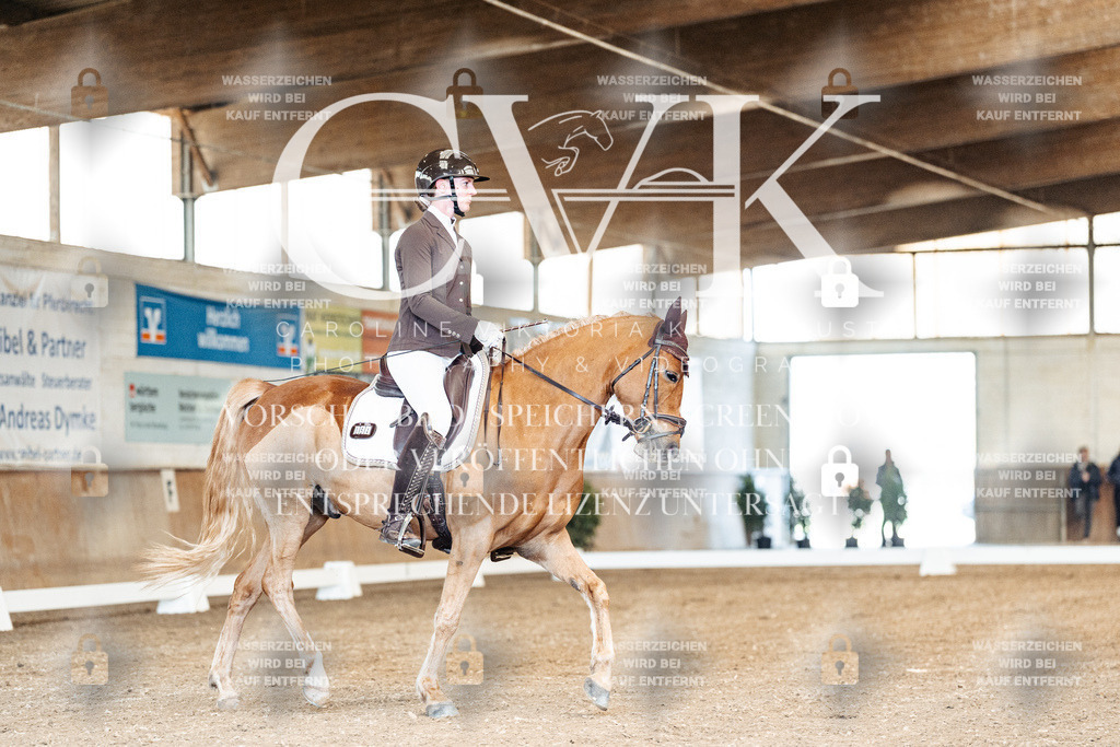 CK900771 | Turnierfotografie Pferdefotografie Trier Rheinland-Pfalz Pferdesport Reitsport Tierfotografie Sportfotografie Pferdevideo Pferdevideografie Equestrianvideography equestrianphotography  - Realisiert mit Pictrs.com