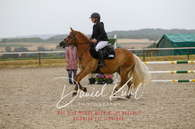 DKP47284 | Turniersportfotografie; Pferdefotografie; Dressurfotografie