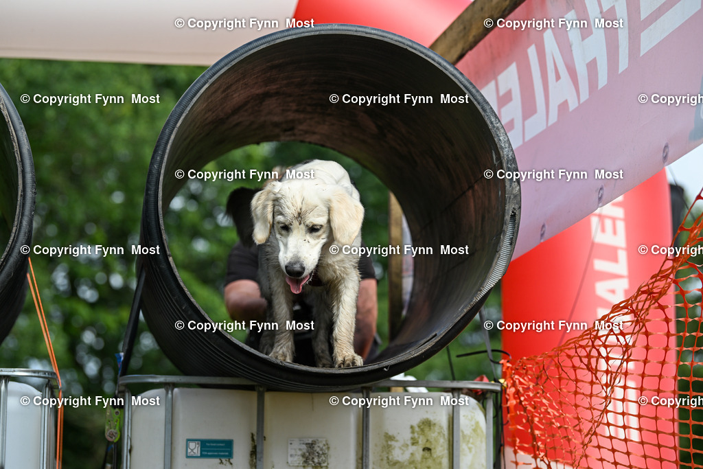 DSC_2922 | Hallo und herzlich Willkommen auf meiner Shop-Seite Fynn Most.

Ich wünsche Dir viel Spaß beim stöbern durch die Bilder, wenn Du Fragen hast oder Bilder vermisst, kannst du mir gerne eine Nachricht schreiben. - Realisiert mit Pictrs.com