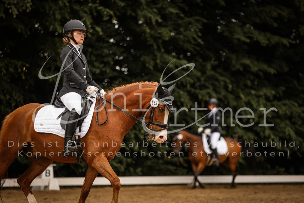 DoDrE00489 | Leoni Ertmer Photography - Realisiert mit Pictrs.com