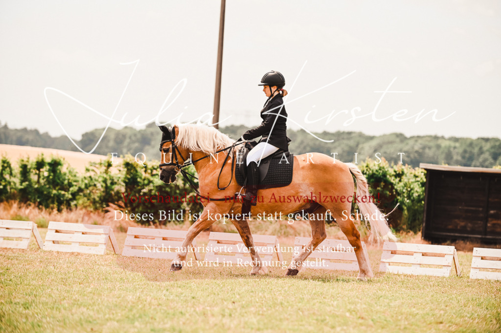 DSC_6302 | Pferde- und Turnierfotografie in Westsachsen. Pferdeportraits, Auftragszeichnungen und intuitive Kunst.