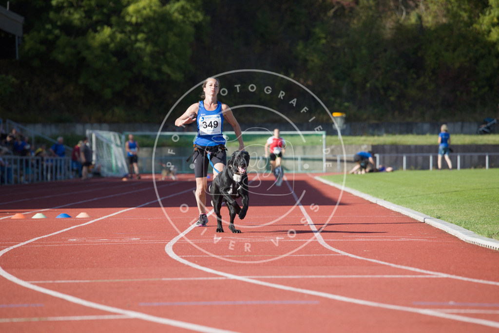 0L8A9649 | Hundefotografie, Tierfotograf, Pfotenfotografie, Fotoshooting Hund, Hunde Portrait, Hundesport, Hundeportraits, Heideshooting, Hunde, Sportfotograf, Hundefotograf, Turnierhundsport, THS,  - Realisiert mit Pictrs.com