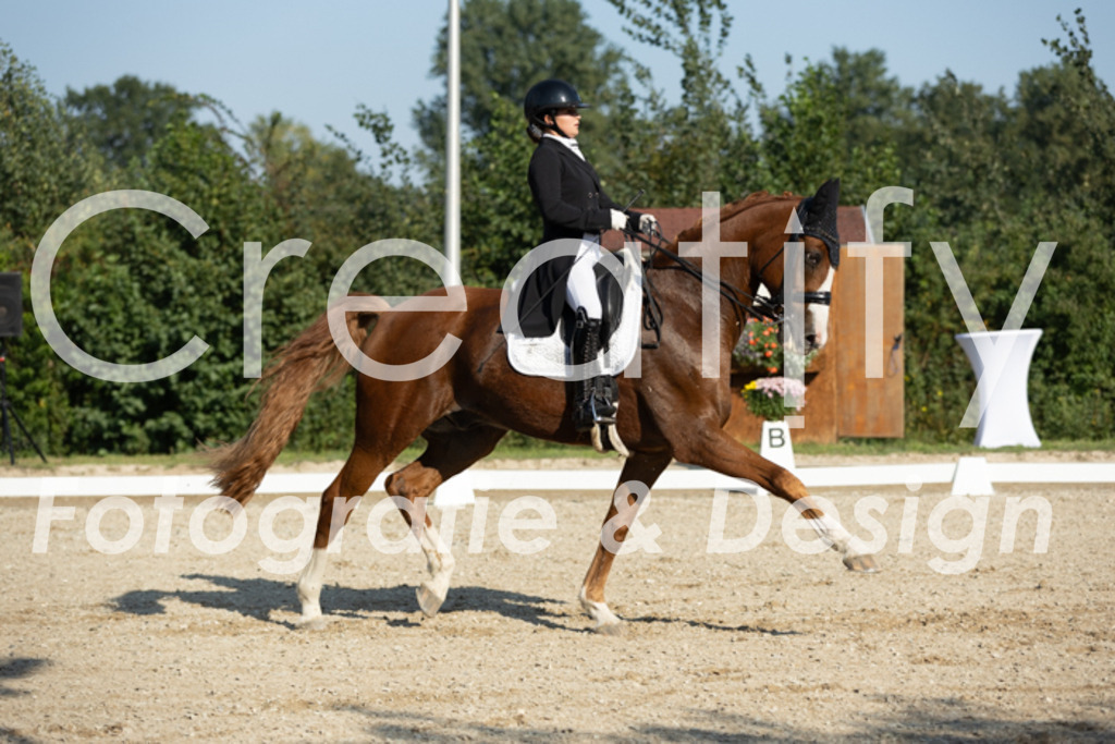 IMG_6348 | Creatify Fotografie