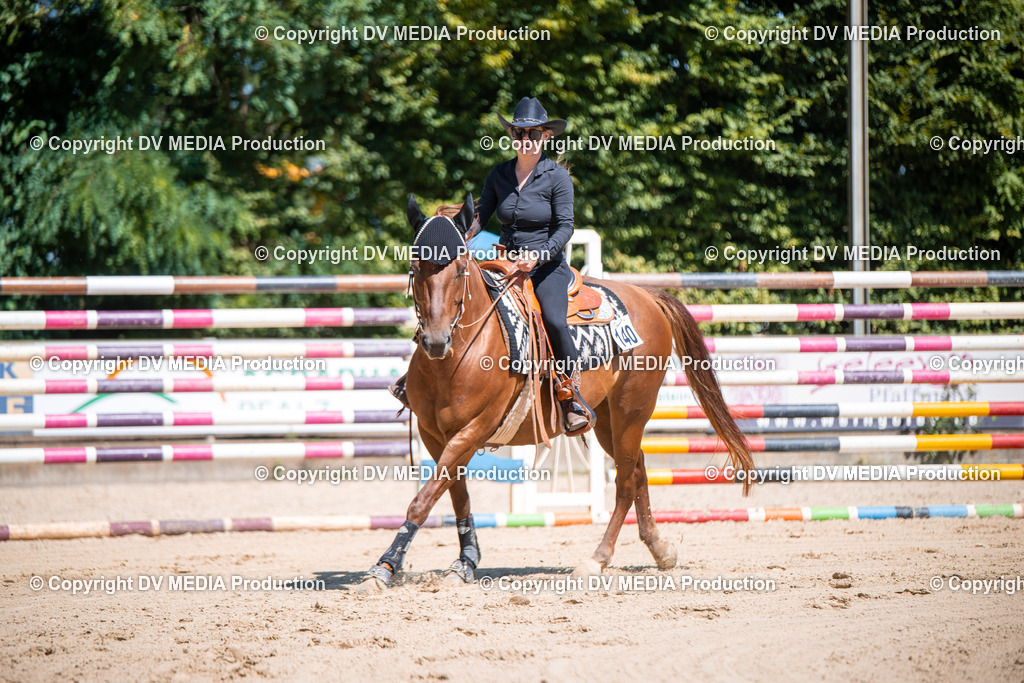 ZS1_1035 | dv-media-shop - Realisiert mit Pictrs.com