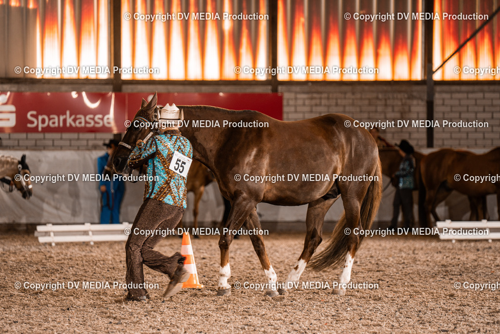 ZH100123 | dv-media-shop - Realisiert mit Pictrs.com